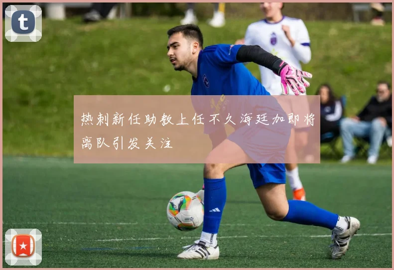 热刺新任助教上任不久海廷加即将离队引发关注