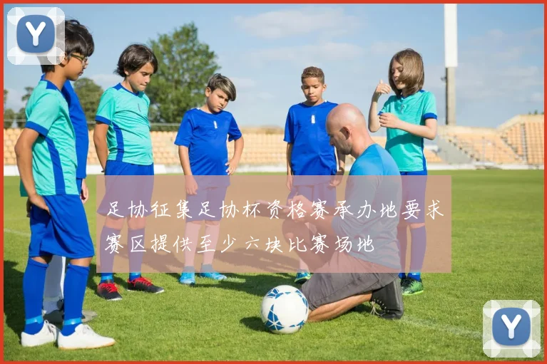 足协征集足协杯资格赛承办地要求赛区提供至少六块比赛场地